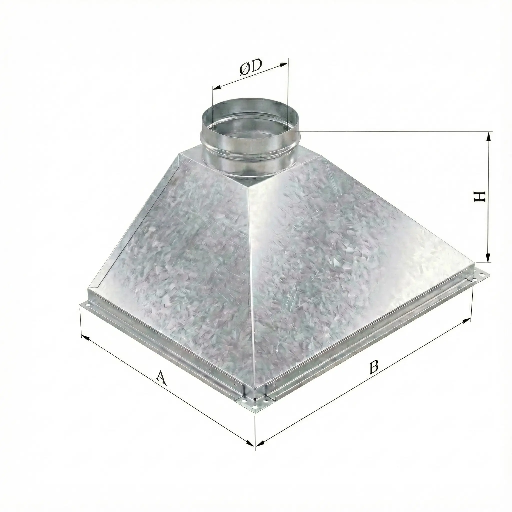 ���� �������� ����������